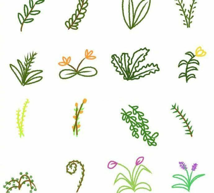 Cách Vẽ 100 Loài Cây Cối Hoa Lá Siêu Đơn Giản | Ý Tưởng Nhật Ký, Hình Vẽ Hoa,  Cây