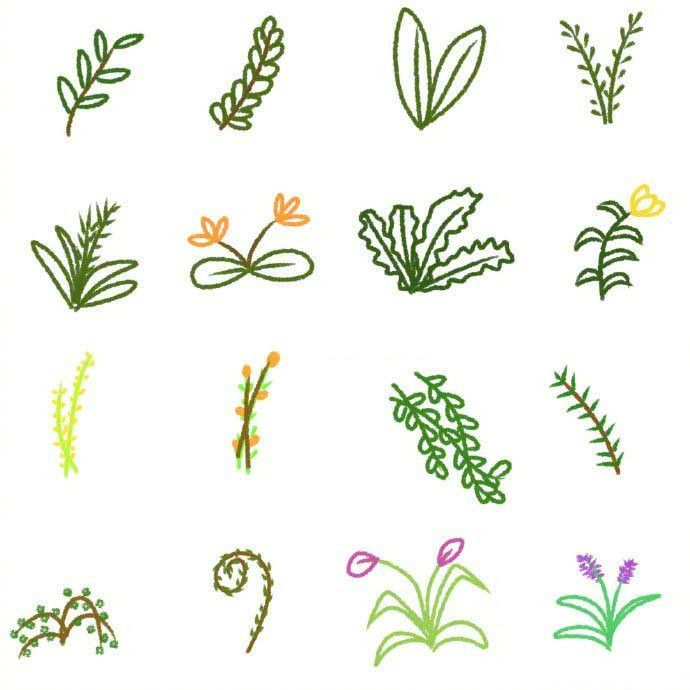Cách Vẽ 100 Loài Cây Cối Hoa Lá Siêu Đơn Giản | Ý Tưởng Nhật Ký, Hình Vẽ Hoa,  Cây