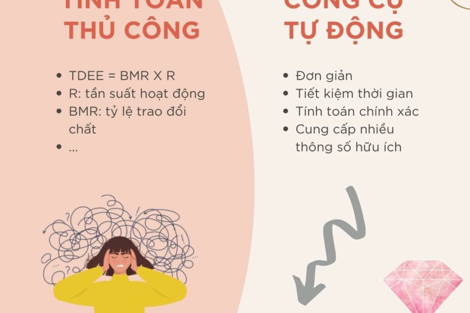 Công Cụ Tính Tdee - Vũ Khí Giảm Cân Hiệu Quả