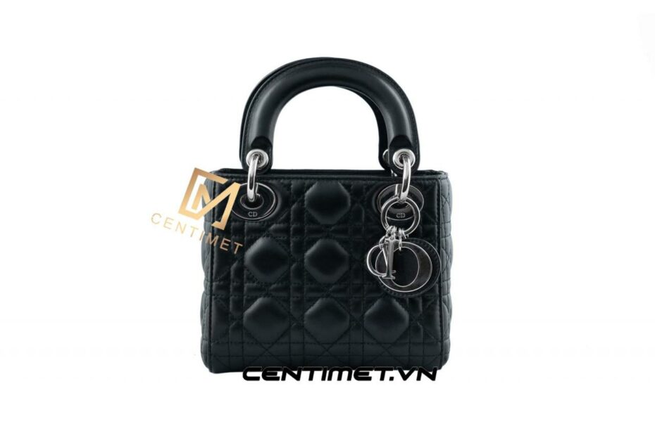 Túi Xách Lady Dior Mini Bag - Centimet.Vn