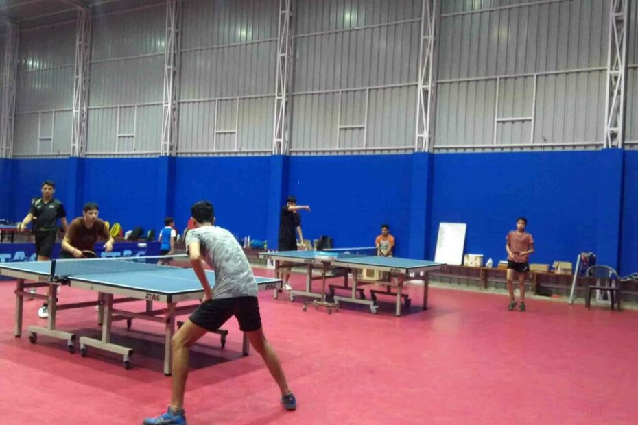 Credo Table Tennis Academy In Indirapuram,Delhi - Best Sports Classes In  Delhi - Justdial