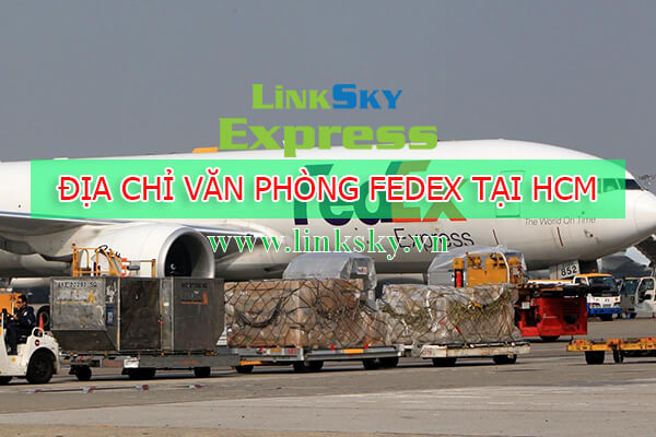 Địa Chỉ Văn Phòng Fedex Hồ Chí Minh Và Tổng Đài Hotline Liên Hệ