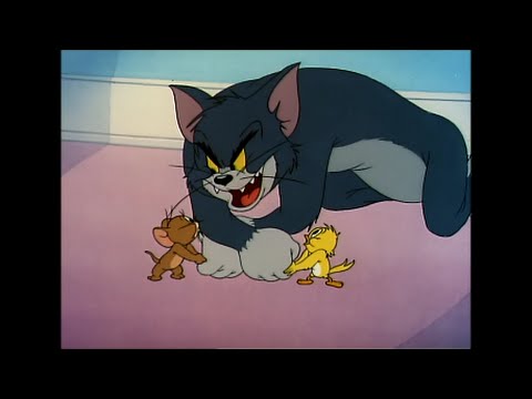 Tom And Jerry, 34 Episode - Kitty Foiled (1948) - Youtube