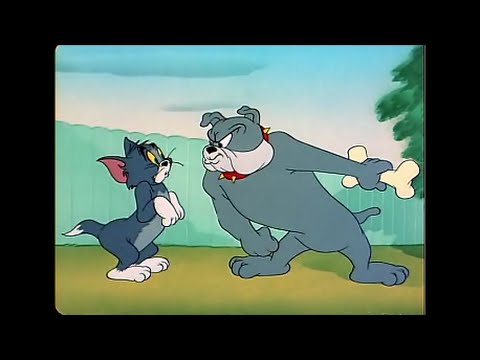 Tom And Jerry, 53 Episode - The Framed Cat (1950) - Youtube