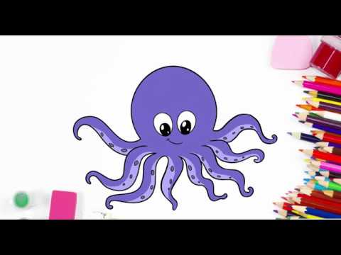 Cách Vẽ Tranh Tô Màu Con Bạch Tuộc || How To Draw An Octopus - Youtube