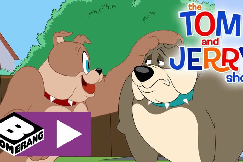 The Tom And Jerry Show | New Dog | Boomerang Uk 🇬🇧 - Youtube