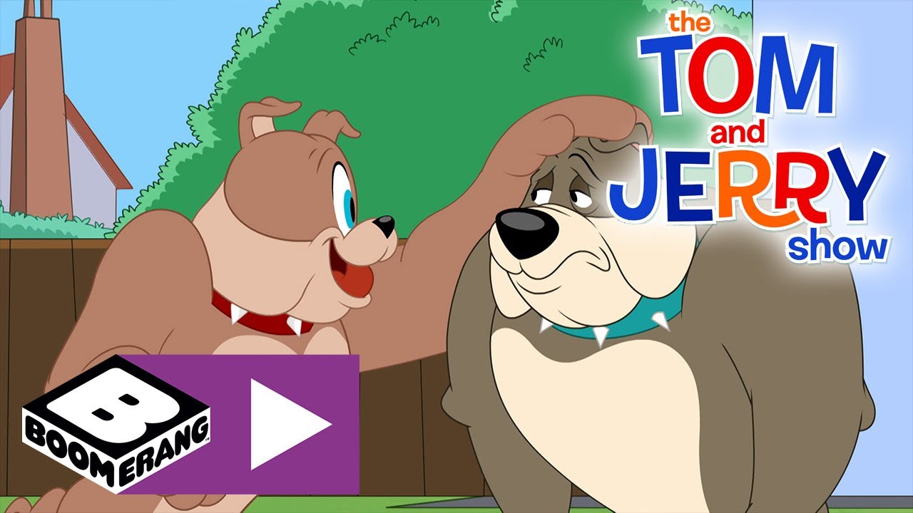 The Tom And Jerry Show | New Dog | Boomerang Uk 🇬🇧 - Youtube