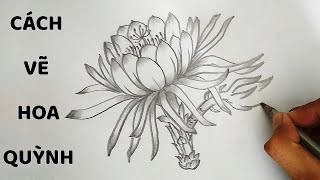 Vẽ Hoa Quỳnh Bằng Bút Chì - How To Draw Epiphyllum Flower - Youtube