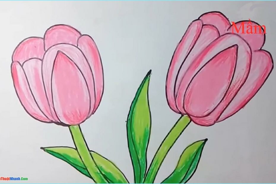 Tranh Vẽ Hoa Đơn Giản Đẹp: Hoa Sen, Cúc, Đào, Hướng Dương, Tulip