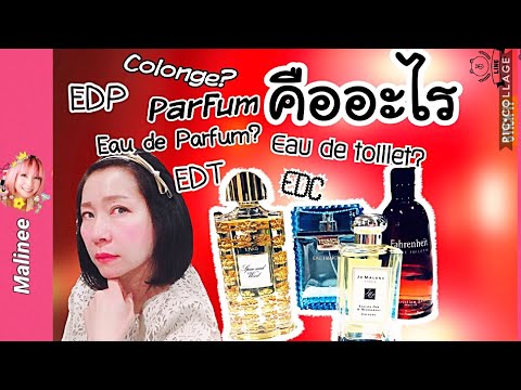 น้ำหอมมีกี่ชนิด Parfum, Eau de Parfum Toilette Cologne ต่างกันยังไง EDP EDT  EDC Eau fraiche คืออะไร