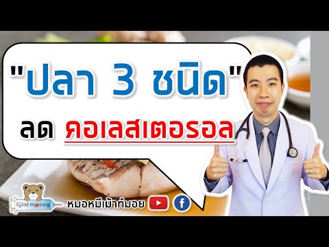 ปลา 3 ชนิด ช่วยลดคอเลสเตอรอลในเลือด ที่ทุกคนควรทาน | หมอหมีมีคำตอบ