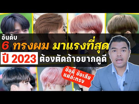 6 อันดับ ทรงผม มาแรงสุดๆ ในปี2023 ตัดแล้วดูดีขึ้นแน่นอน l ขอดีข้อเสียแต่ล่ะทรง