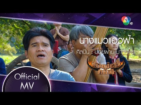 นางแมวแอ่วฟ้า Ost.นายฮ้อยทมิฬ | ปอยฝ้าย มาลัยพร [Official MV]