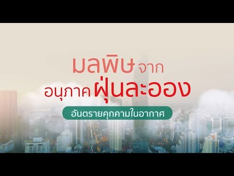 มลพิษจากอนุภาคฝุ่นละออง อันตรายคุกคามในอากาศ | บำรุงราษฎร์