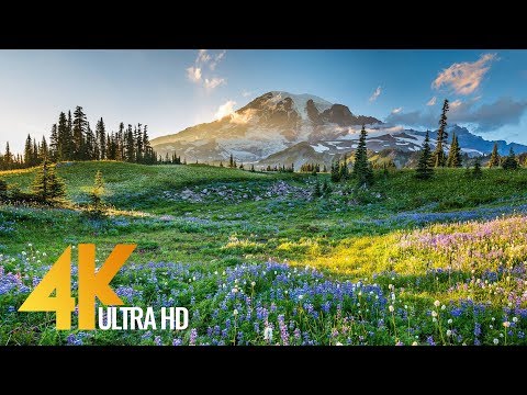 4K Mount Rainier National Park - Nature Relax Video, Summer Scenery - 2 HRS