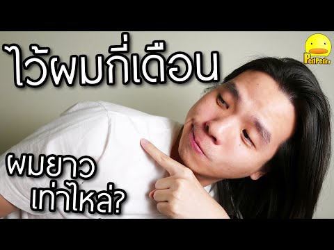 ไม่ตัดผมกี่เดือนผมยาวเท่าไหร่? - ไว้ผมยาวทำไม Ep1 - PedPed TV