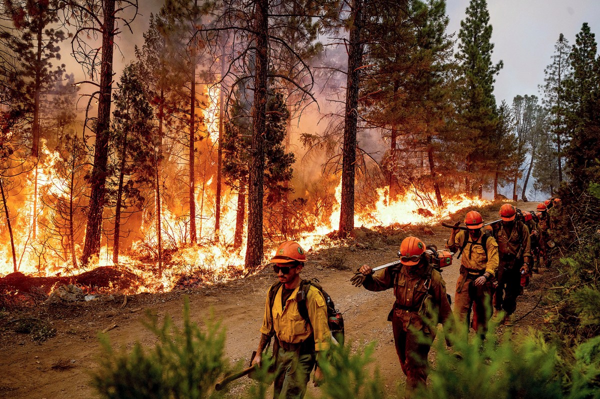 By The Numbers: California'S Mild 2022 Wildfire Season - Calmatters