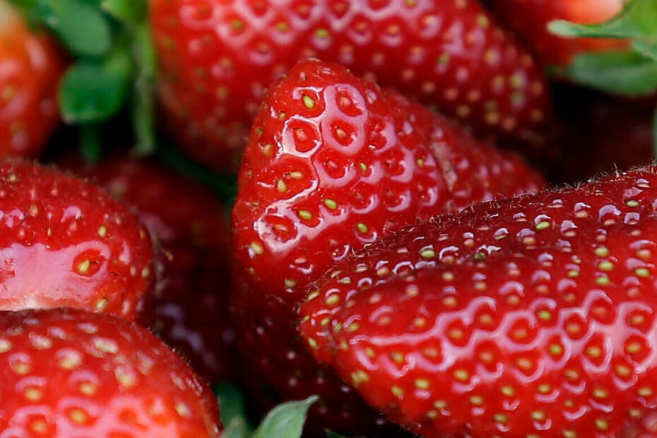 Fresh Strawberries Linked To Hepatitis A Outbreak, F.D.A Says - The New  York Times