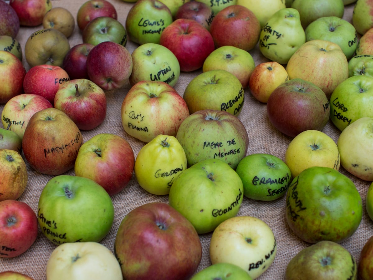 Geneticists Trace Humble Apple'S Exotic Lineage All The Way To The Silk  Road | Genetics | The Guardian