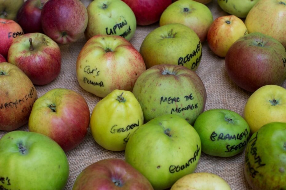 Geneticists Trace Humble Apple'S Exotic Lineage All The Way To The Silk  Road | Genetics | The Guardian