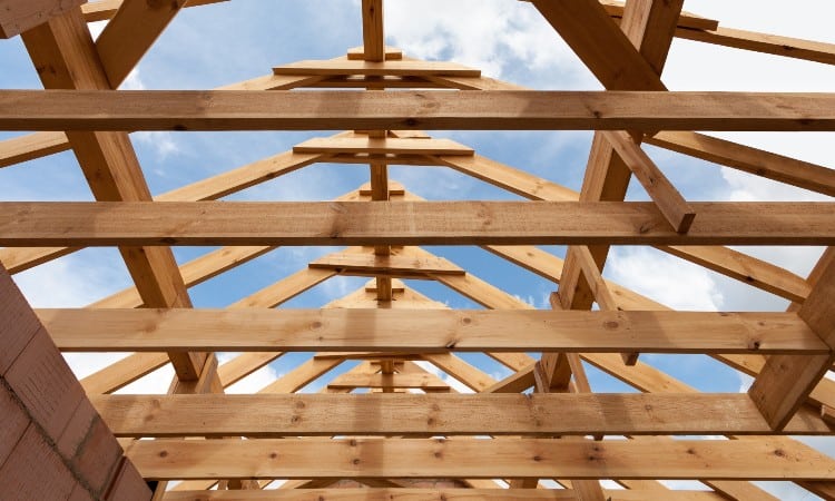 What Are Ceiling Joists? [Complete Guide]