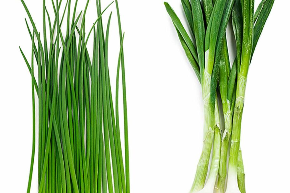 Chives Vs. Green Onions