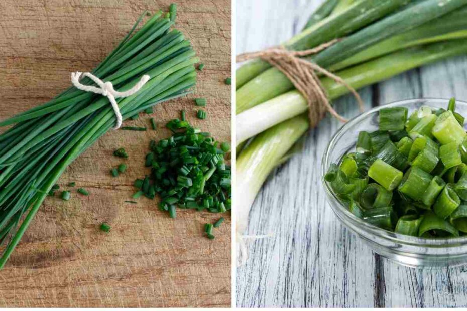 Chives Vs Scallions - A Spectacled Owl