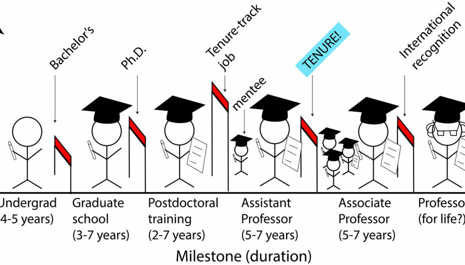 What Is Tenure?