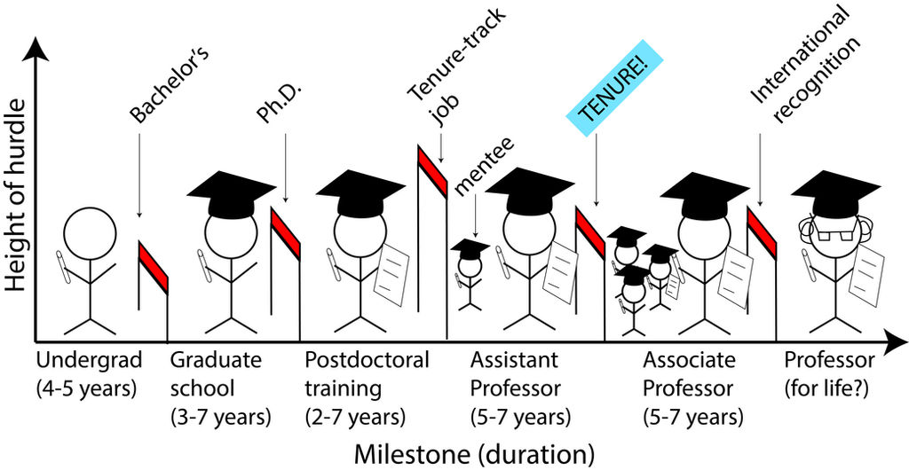 What Is Tenure?