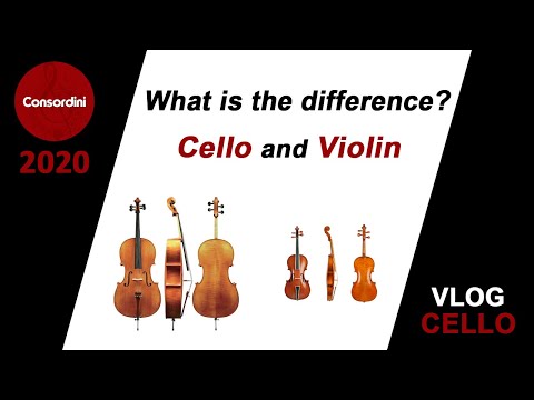 What Is The Difference Between A Cello And Violin - Youtube