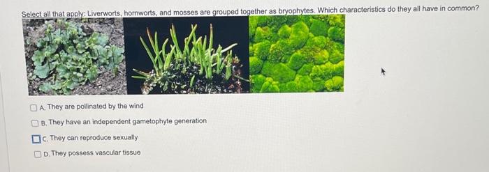 Solved Select All That Apply Liverworts, Hornworts, And | Chegg.Com