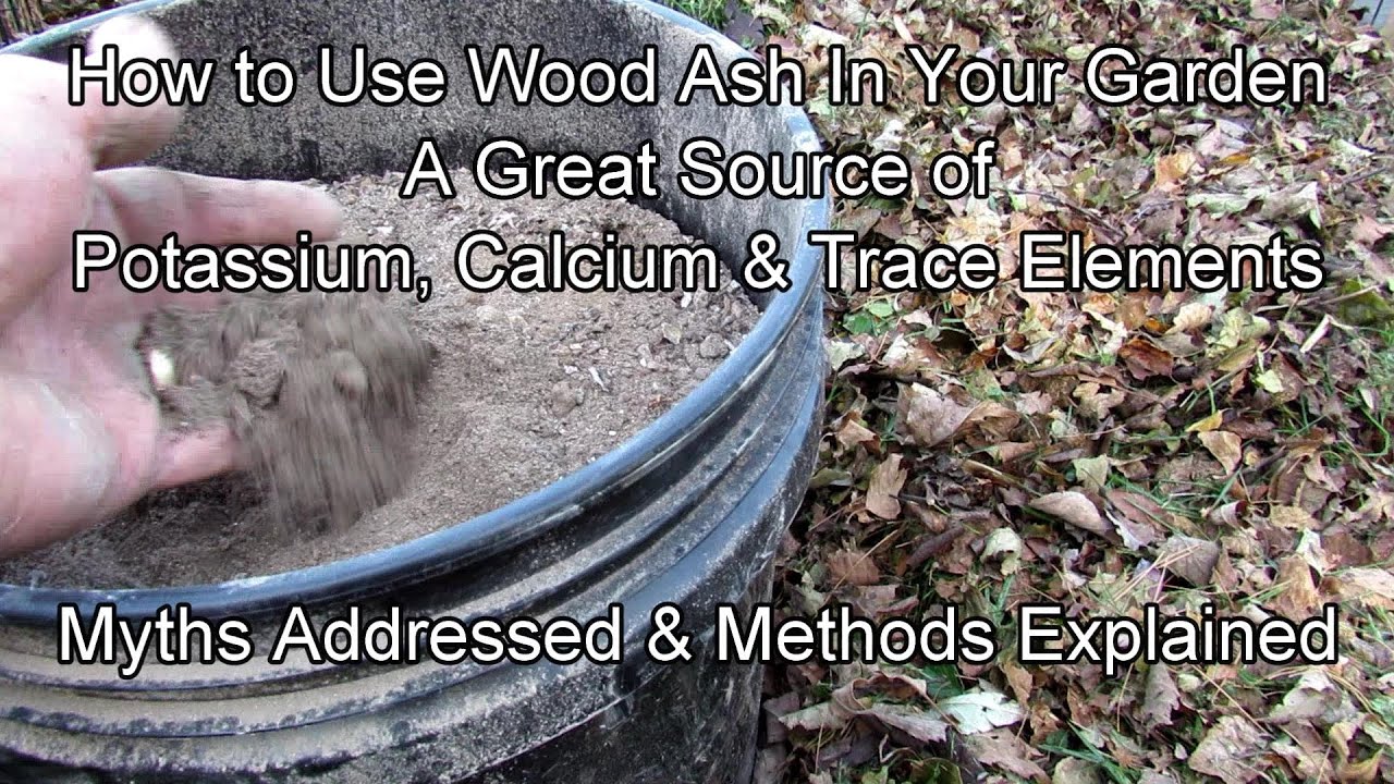 How To Use Wood Ash In Your Vegetable Garden: Myths Addressed & Methods  Explained - Potassium! - Youtube