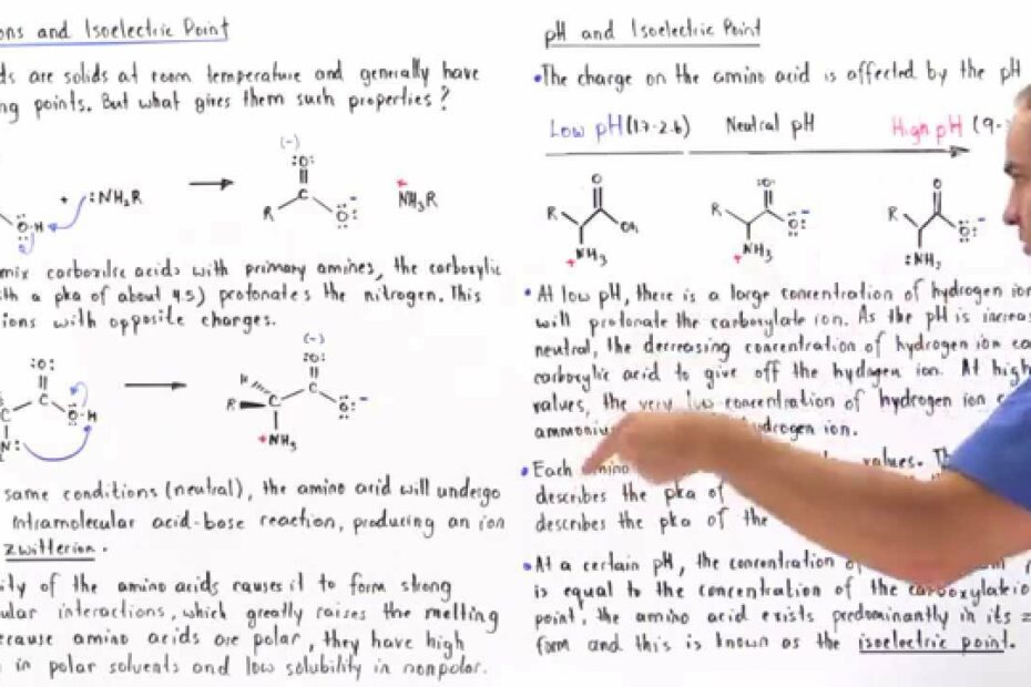 Zwitterion Form Of Amino Acids - Youtube
