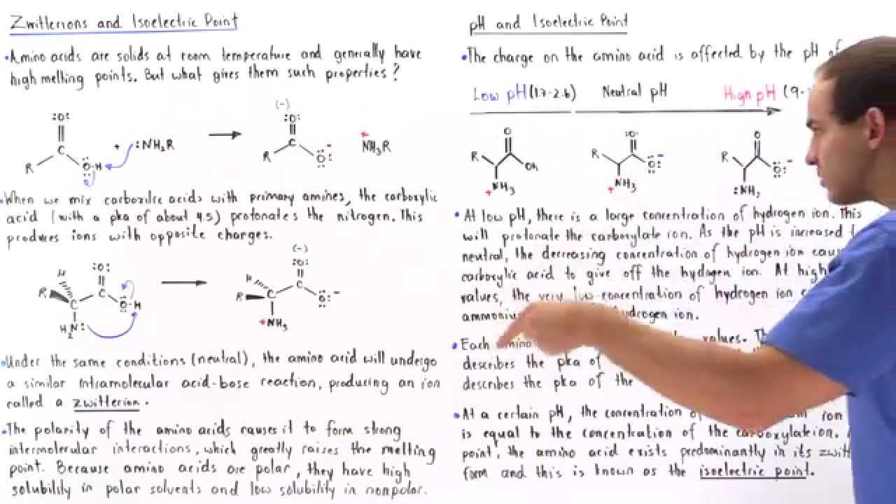 Zwitterion Form Of Amino Acids - Youtube