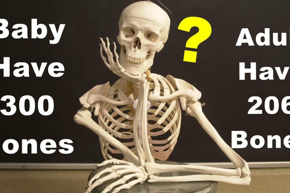 Babies Have 300 Bones But Adults Have 206 Bones ? | Some Random Facts -  Youtube