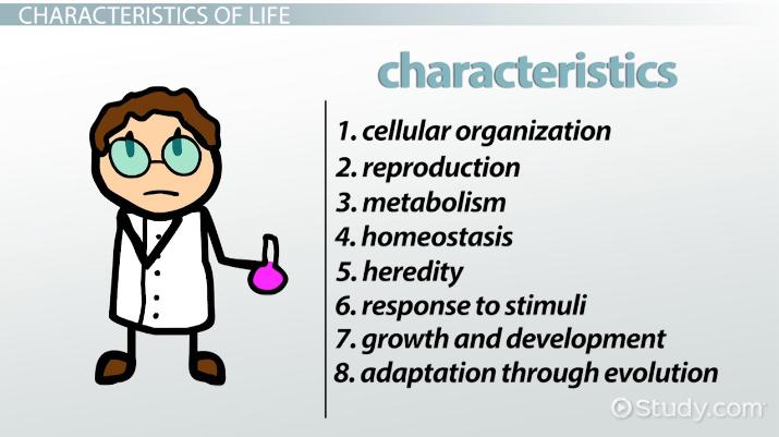 8 Characteristics Of Life In Biology | Properties & Examples - Video &  Lesson Transcript | Study.Com