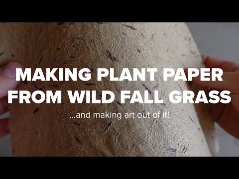 Making Plant Paper From Wild Fall Grass... and Making Art Out of It