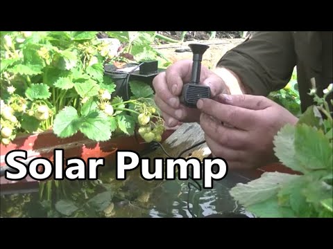 Small Solar Water Pump - Good For Wildlife Ponds?