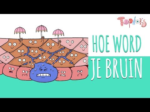 HOE WORD JE BRUIN?! 😎 - ANIMATIE