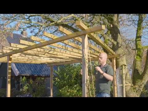 Klimplanten opbinden aan pergola - uitleg