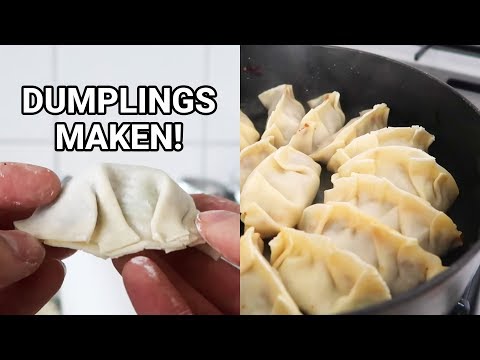 How to: Dumplings maken! Bereiding | Vouwen | + Mijn go-to recept!